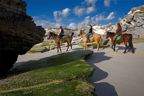 turismo-la-ruta-jardin_480x320_crop_80.jpg