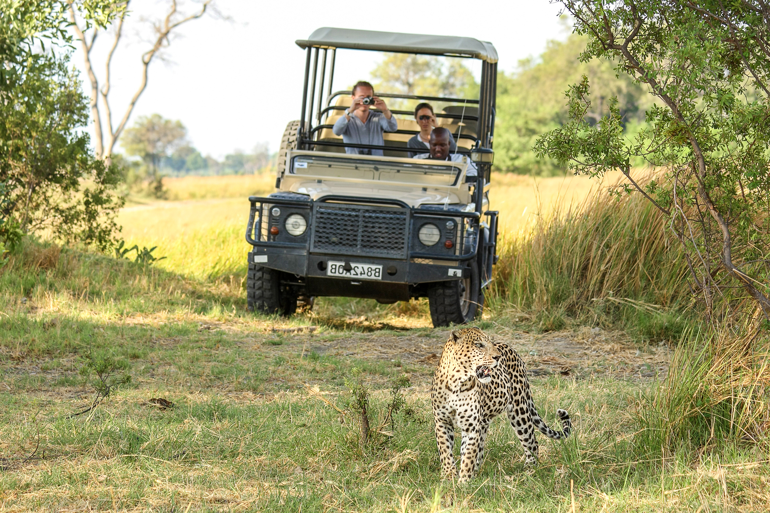 web-aventuraafrica-safari-sudafrica-banner.jpg