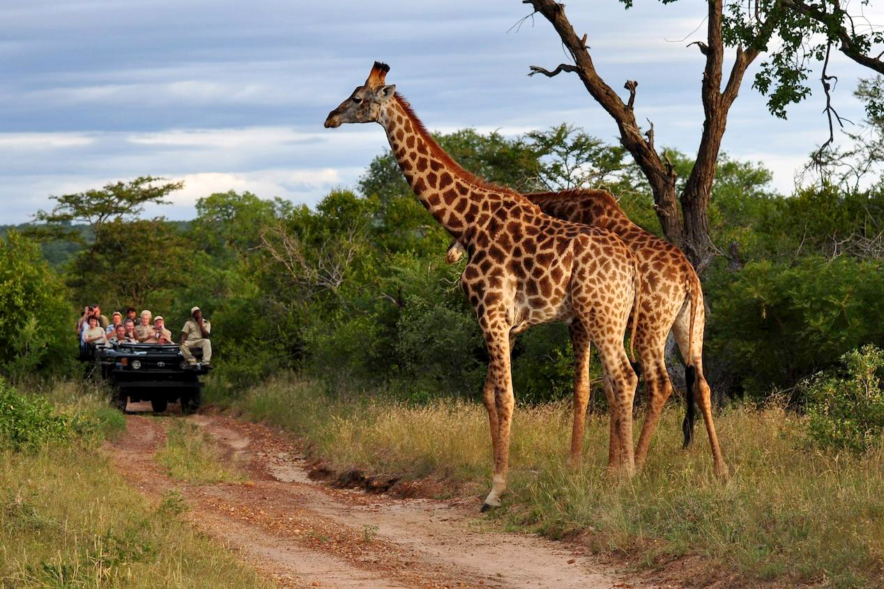 safaris de lujo en sudafrica
