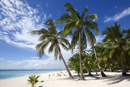 ile-plate-ilot-gabriel-thumb_260x173_crop_80.jpg