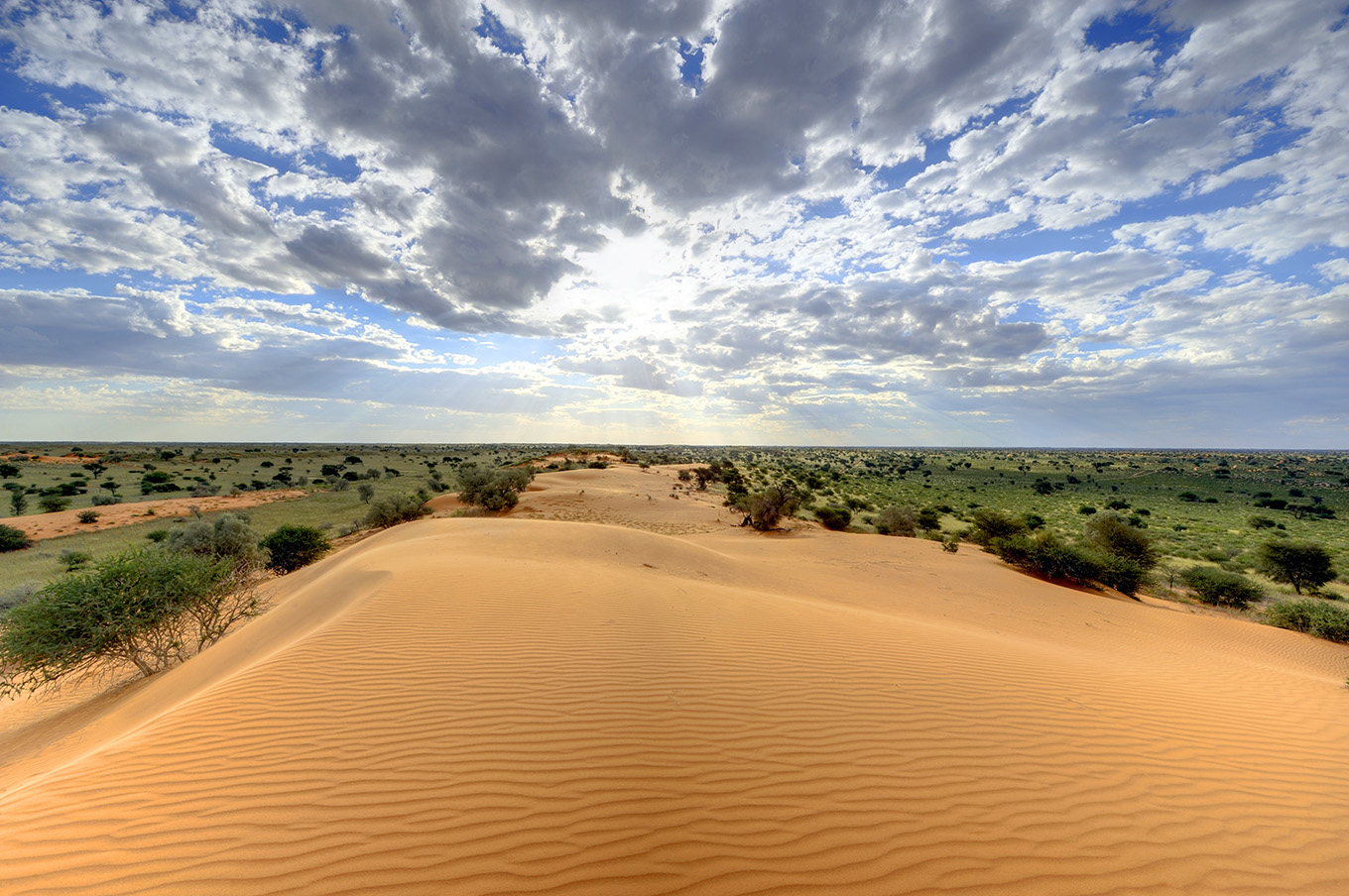 web-aventuraafrica-viaje17-tswalu-kalahari-motse-paisaje.jpg