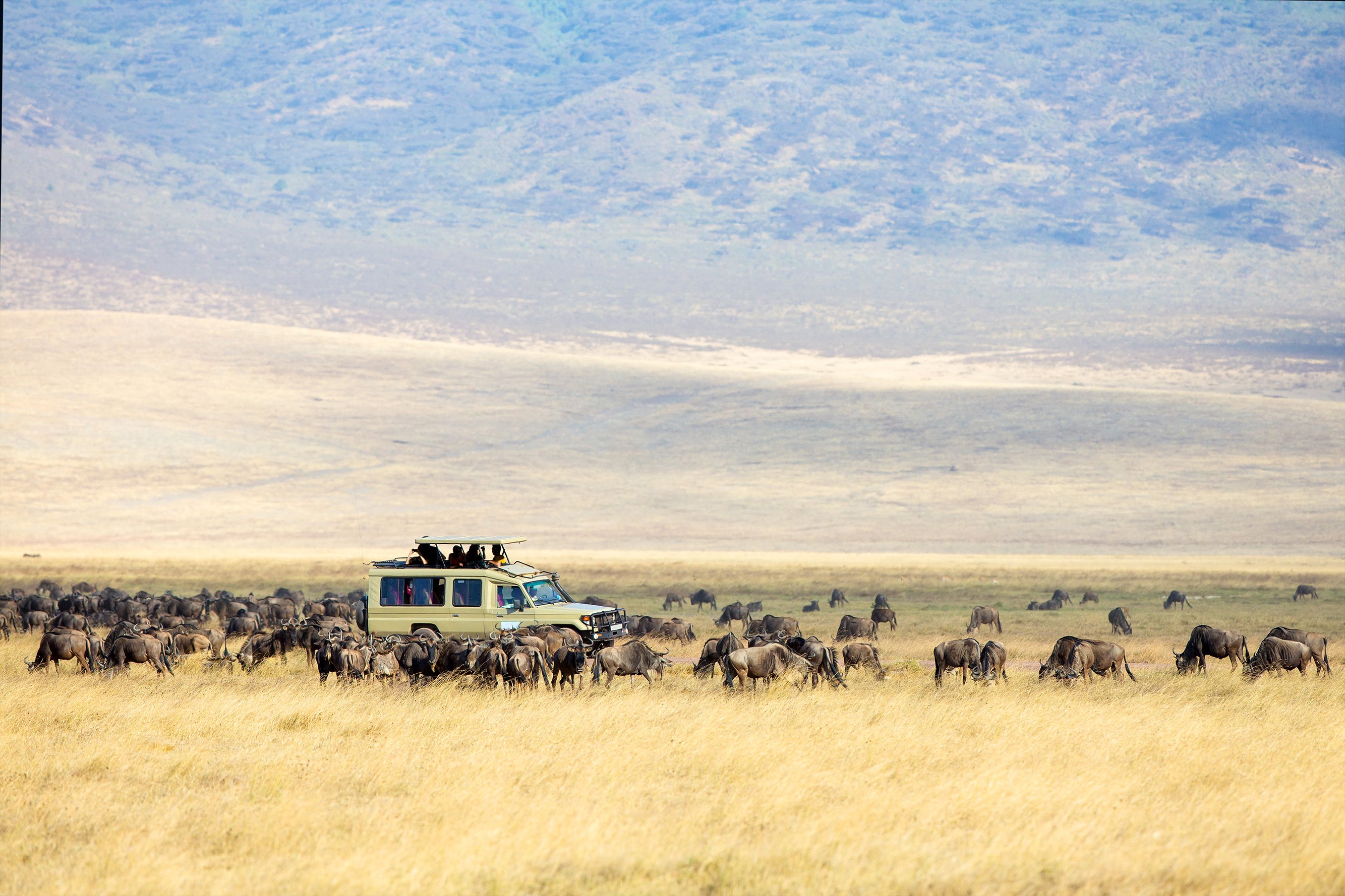 tips voor safari kenia