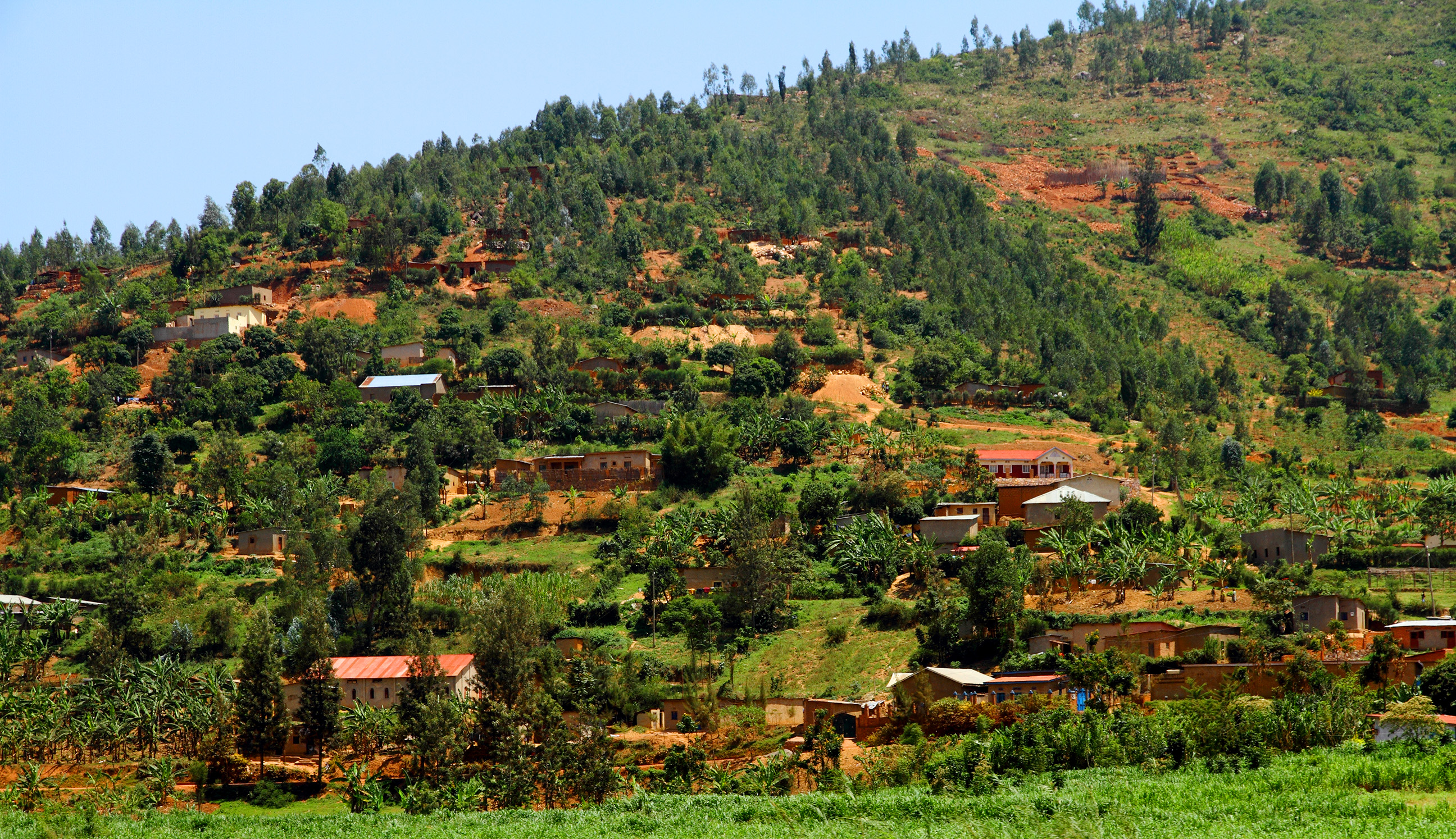 Destino Ruanda | Aventura África™ - Ruanda