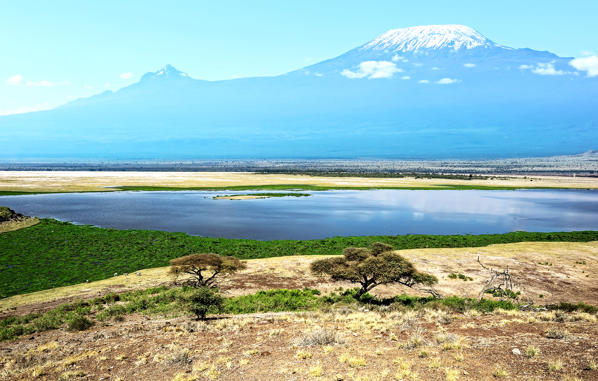 kenia tours republica dominicana