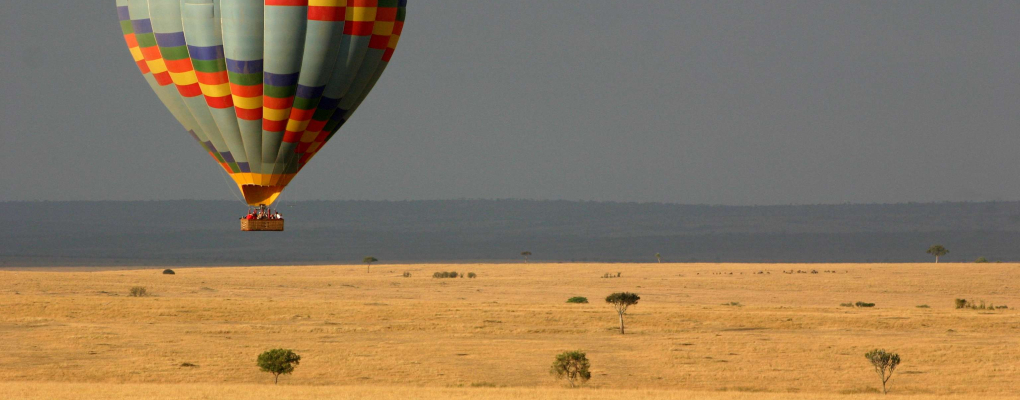 o que significa safari