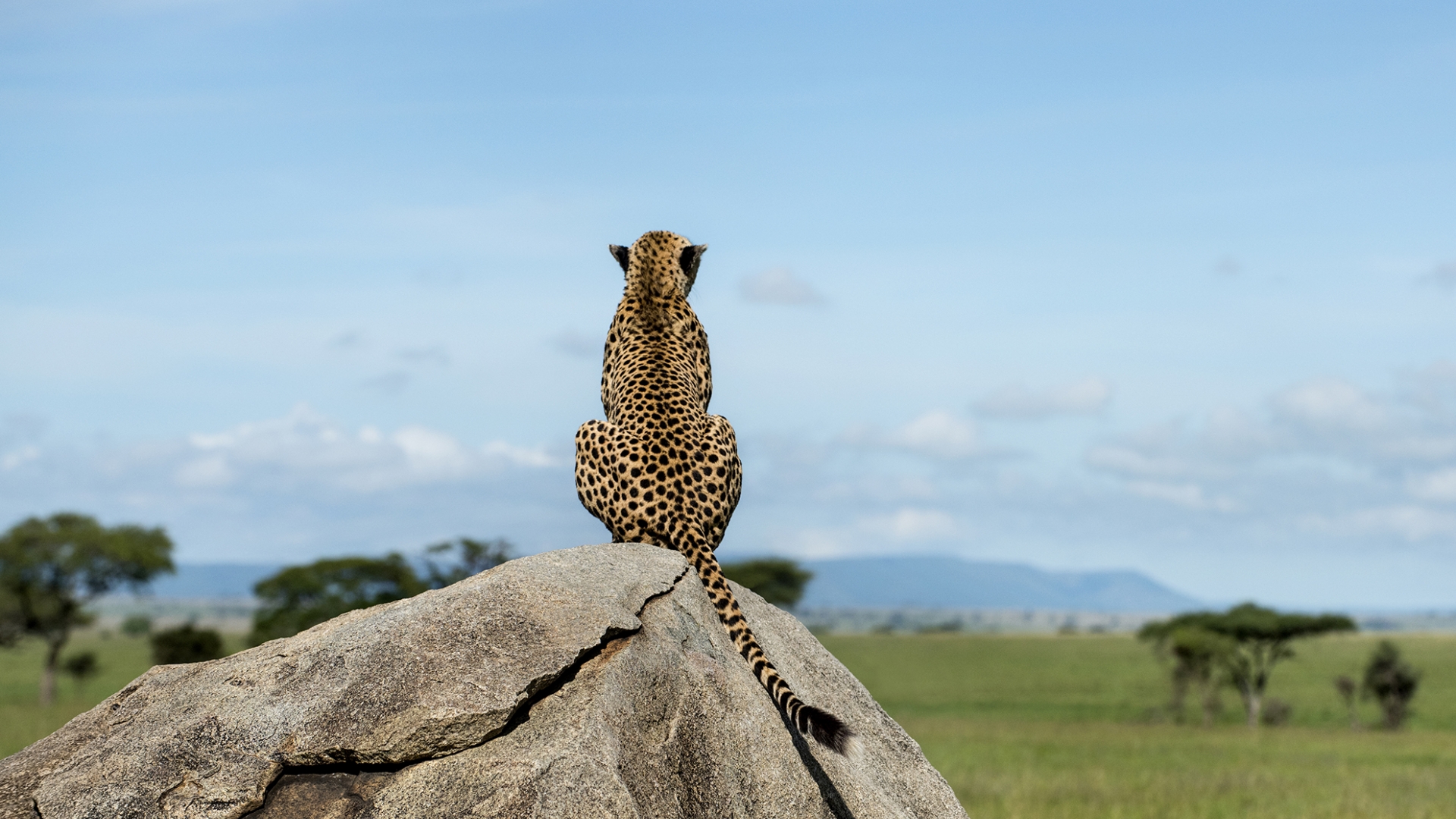 web-aventuraafrica-tanzania-serengeti-4.jpg