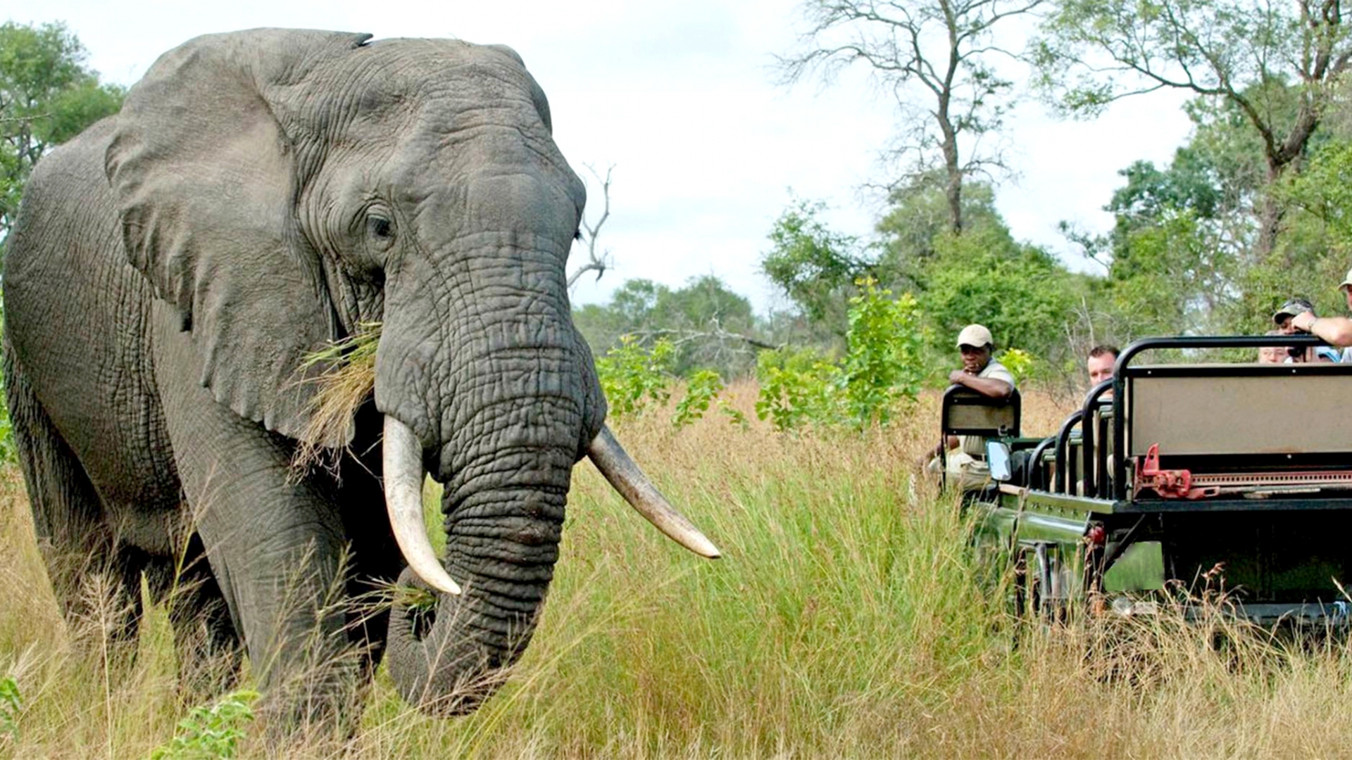 web-aventuraafrica-safari-lujo-grid-3.jpg