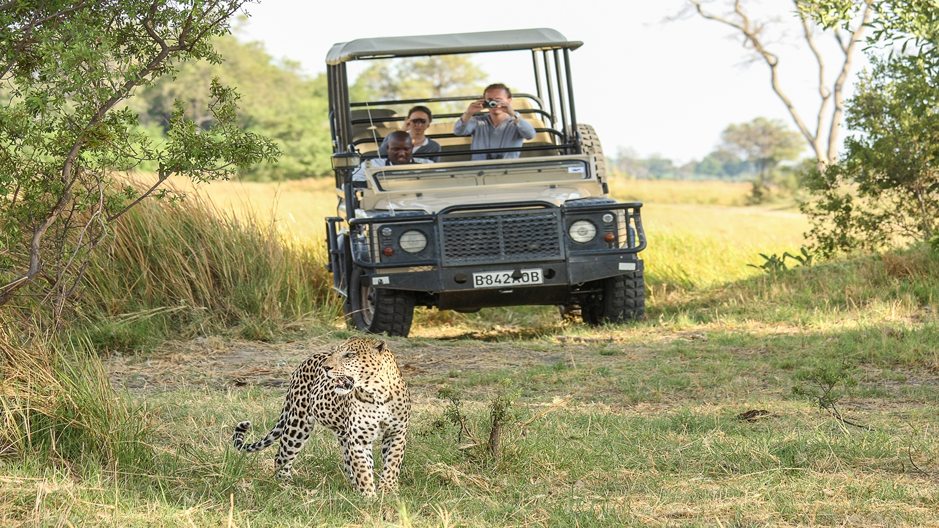 web-aventuraafrica-sudafrica-destinos-parque-kruger-6.jpg