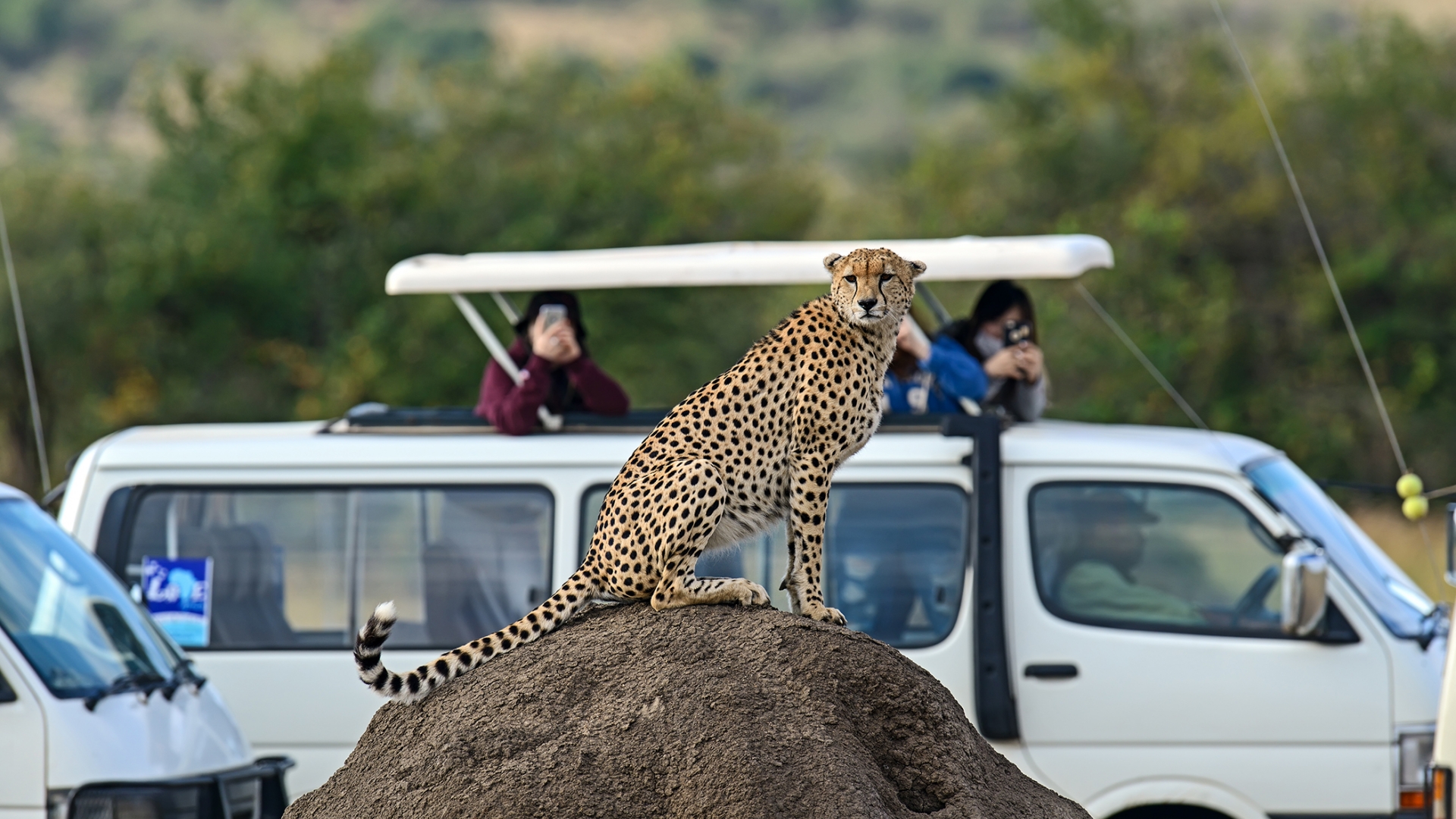 web-aventuraafrica-kenia-masai-mara-3.jpg
