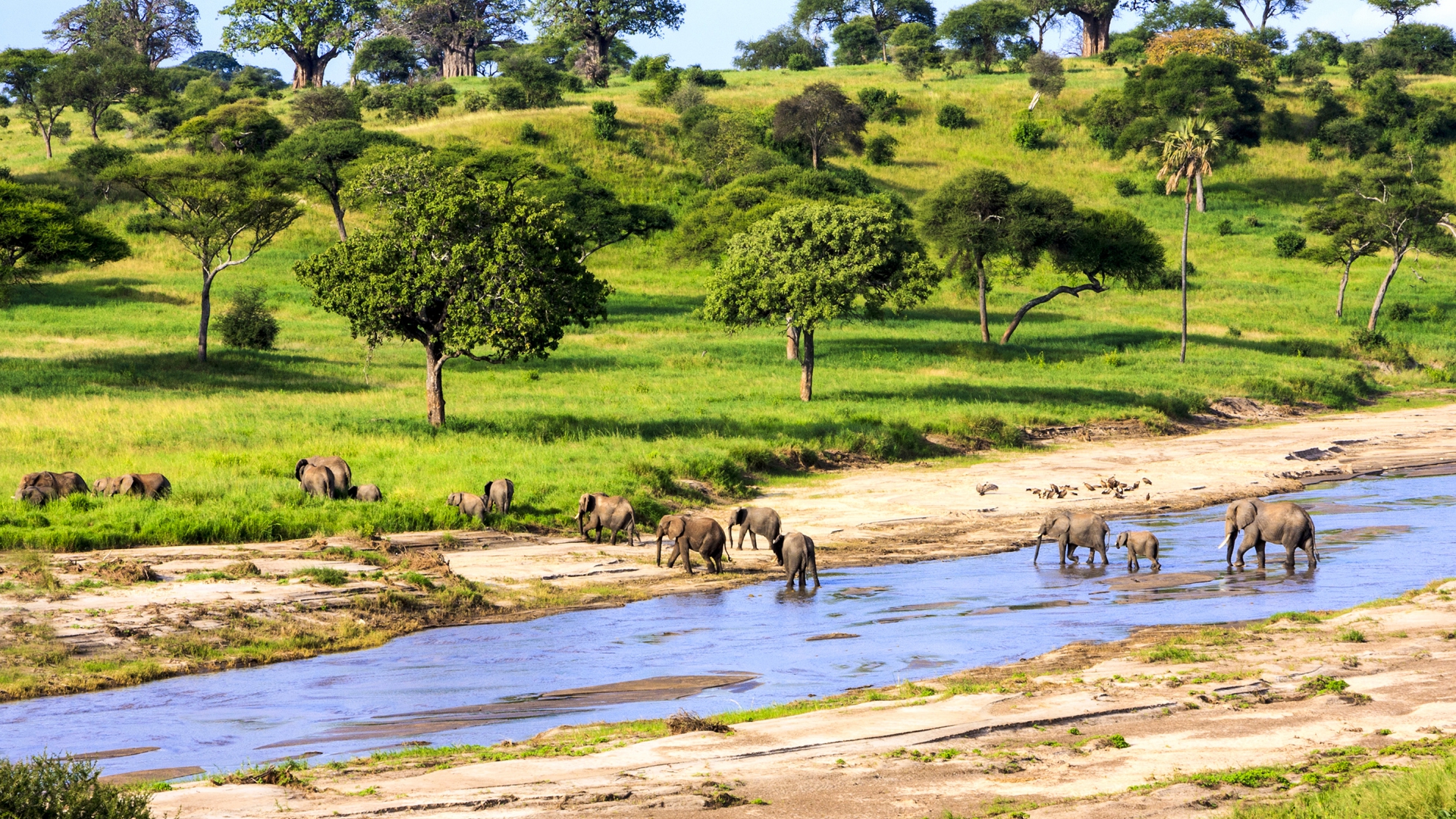 Mozambique