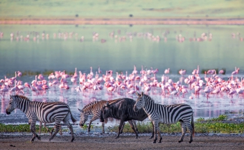 web-aventura-africa-viajes-banner-tanzania-2.jpg