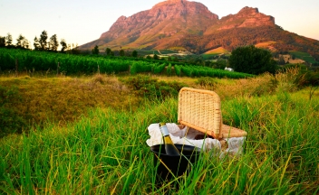 web-aventuraafrica-sudafrica-vinedos-del-cabo.jpg