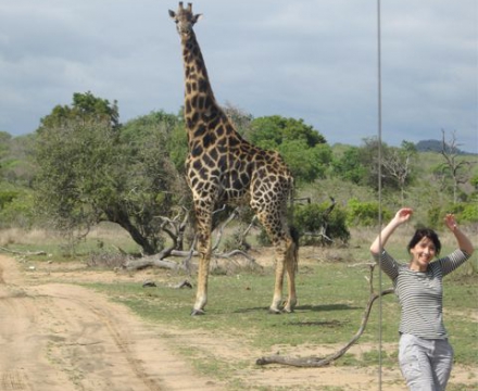 8 Consejos útiles para Safaris en Sudáfrica | Aventura África™ – Sudáfrica 8 Consejos útiles para Safaris en Sudáfrica | Aventura África™ – Sudáfrica