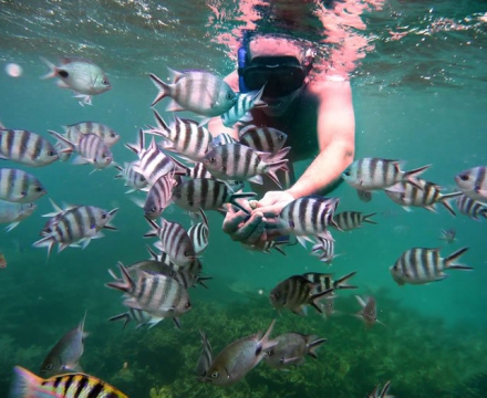 web-aventuraafrica-destination-mauritius-diving.jpg
