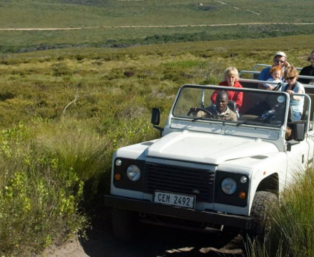 especialistas-_960x480_crop_80.jpg