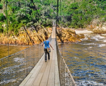 web-aventuraafrica-destinos-sudafrica-actividades-puente-ruta-jardin.jpg