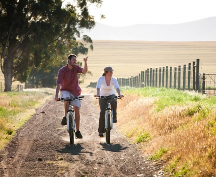 web-aventuraafrica-destinos-sudafrica-localizaciones-riebeek-valley.jpg