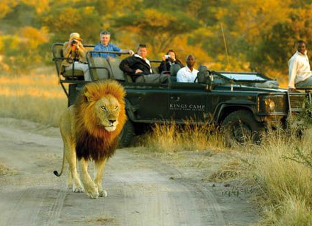 safari-de-lujo_480x320_crop_80.jpg