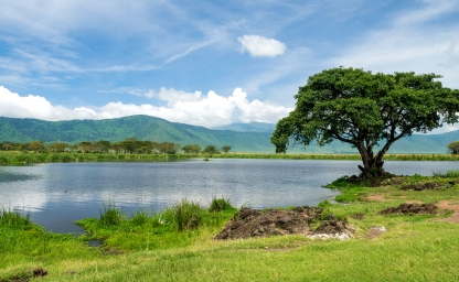 web-aventuraafrica-destinos-tanzania-localizaciones-ngoronogoro-crater-lodge2.jpg