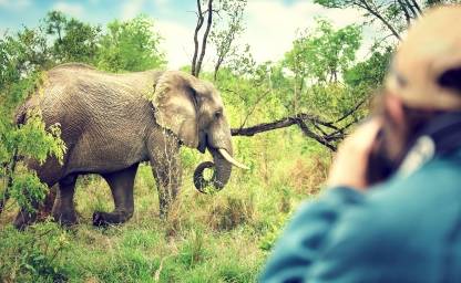 safari a sudafrica