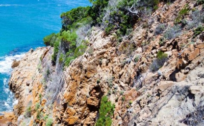 ruta-jardin2_480x640_crop_80.jpg