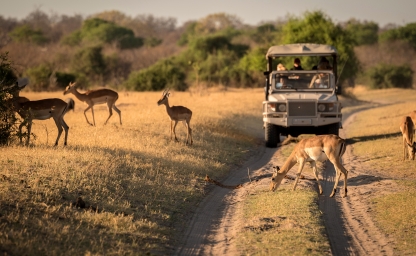 web-aventuraafrica-destinos-botsuana-actividades-safari.jpg